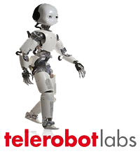 telerobot i-Cab